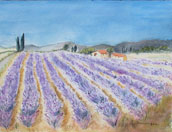 Provence 2-172x132