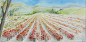 Provence-4-172x85